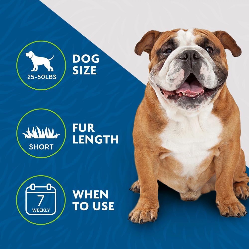 FURminator outil utilisé sur chien moyen poil court réduit la perte