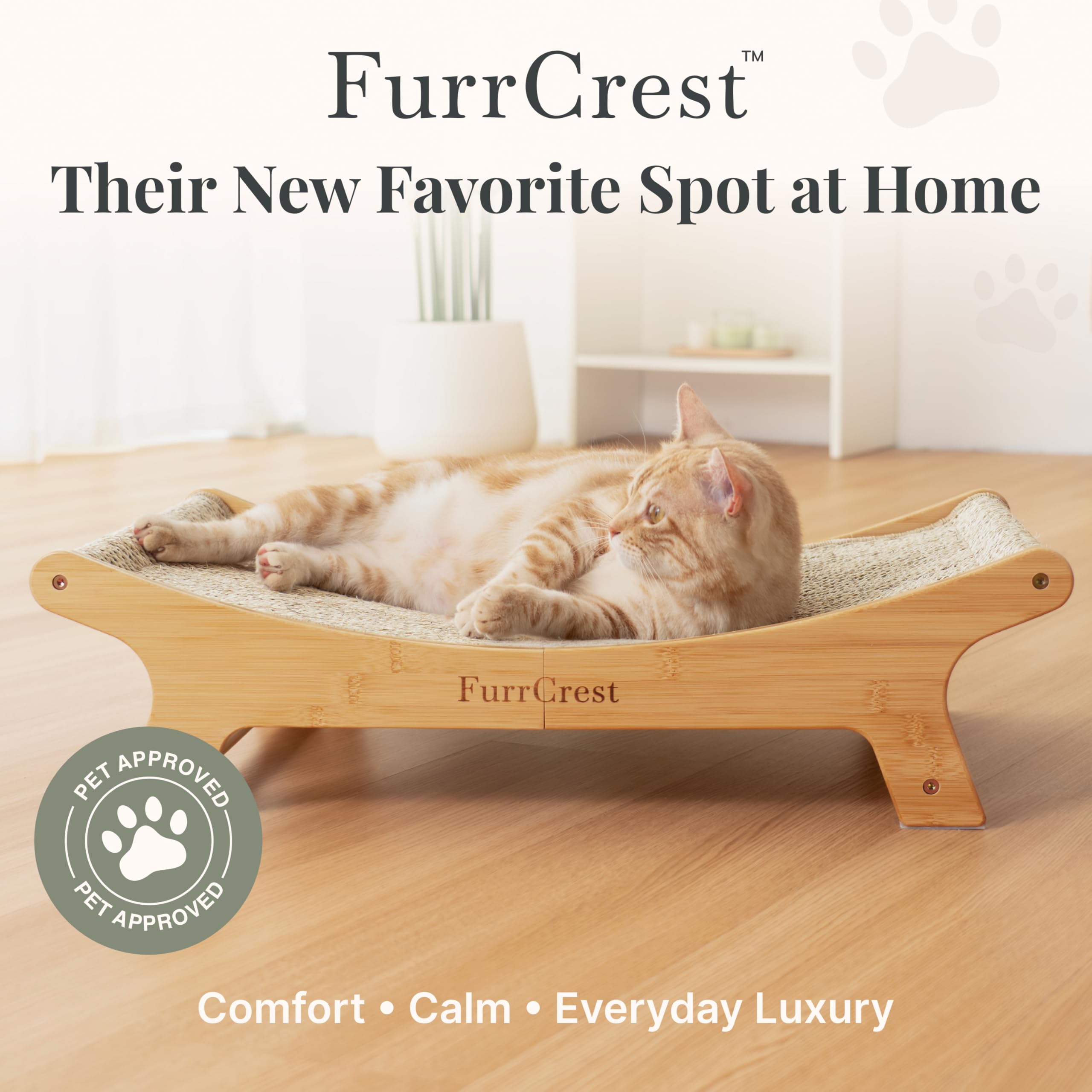 FurrCrest contenu du colis montrant tapis remplaçable inclus