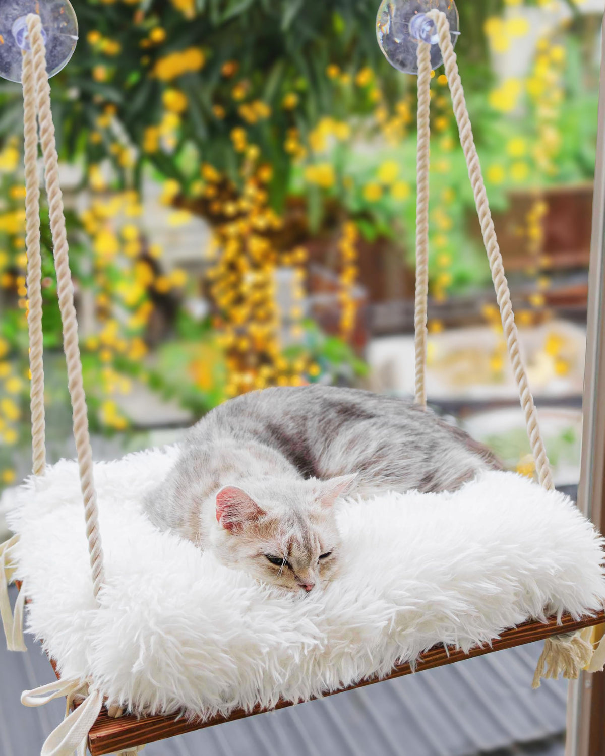 Furrfinity hamac devant la fenêtre offrant vue et repos sécurisé