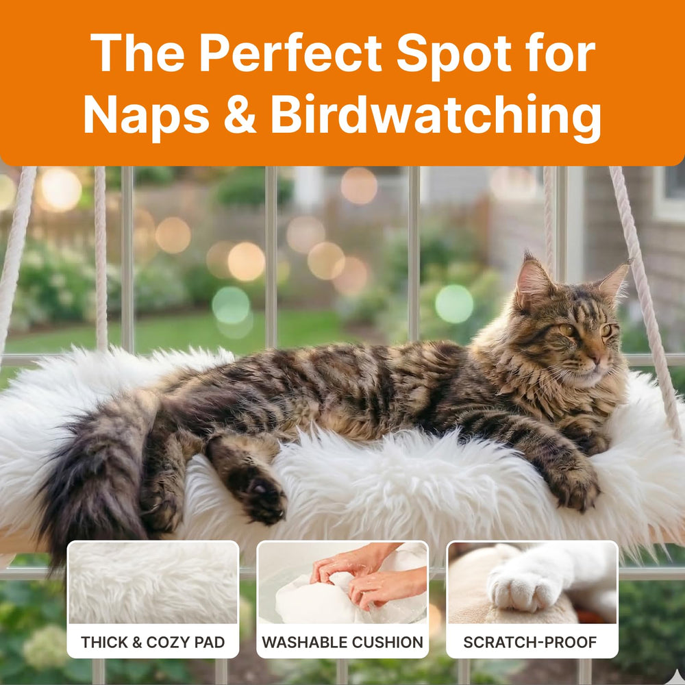 Furrfinity perchoir en usage avec chat profitant d'une vue extérieure