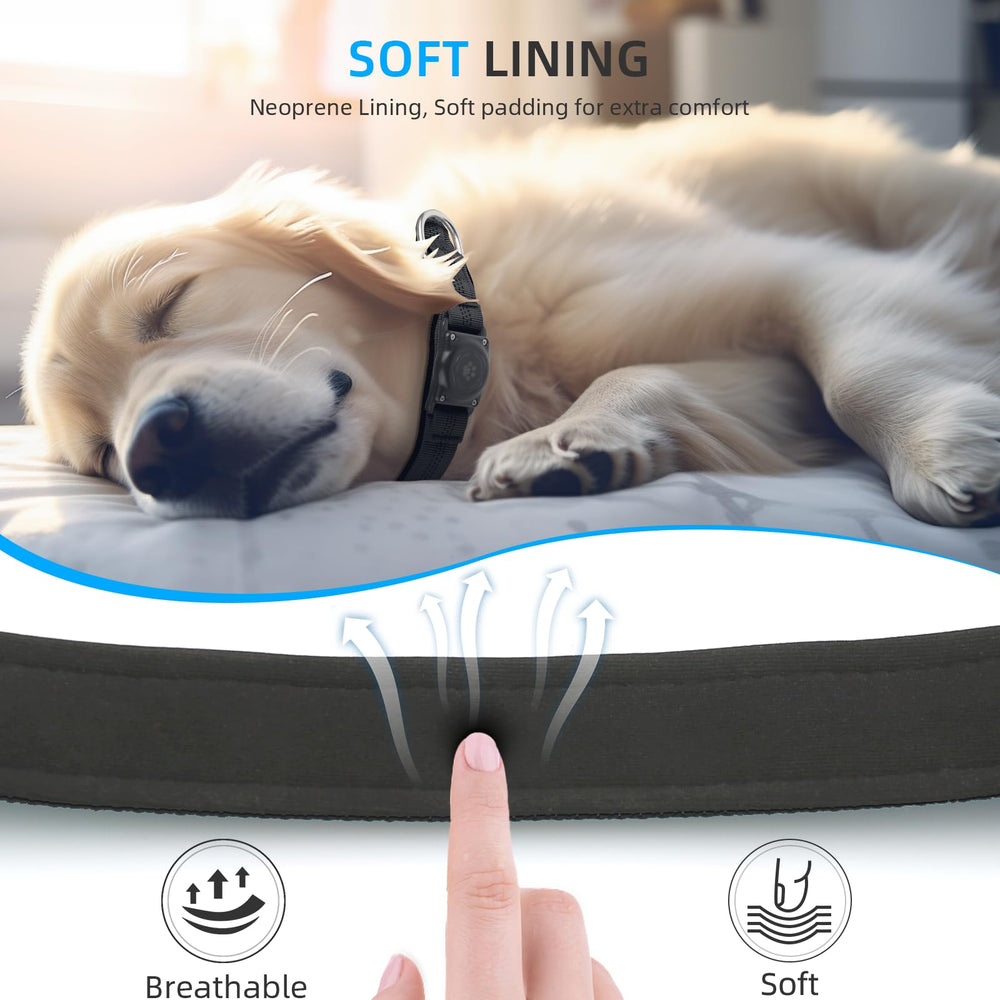 Furrigo collier en usage lors d'une promenade illustrant robustesse