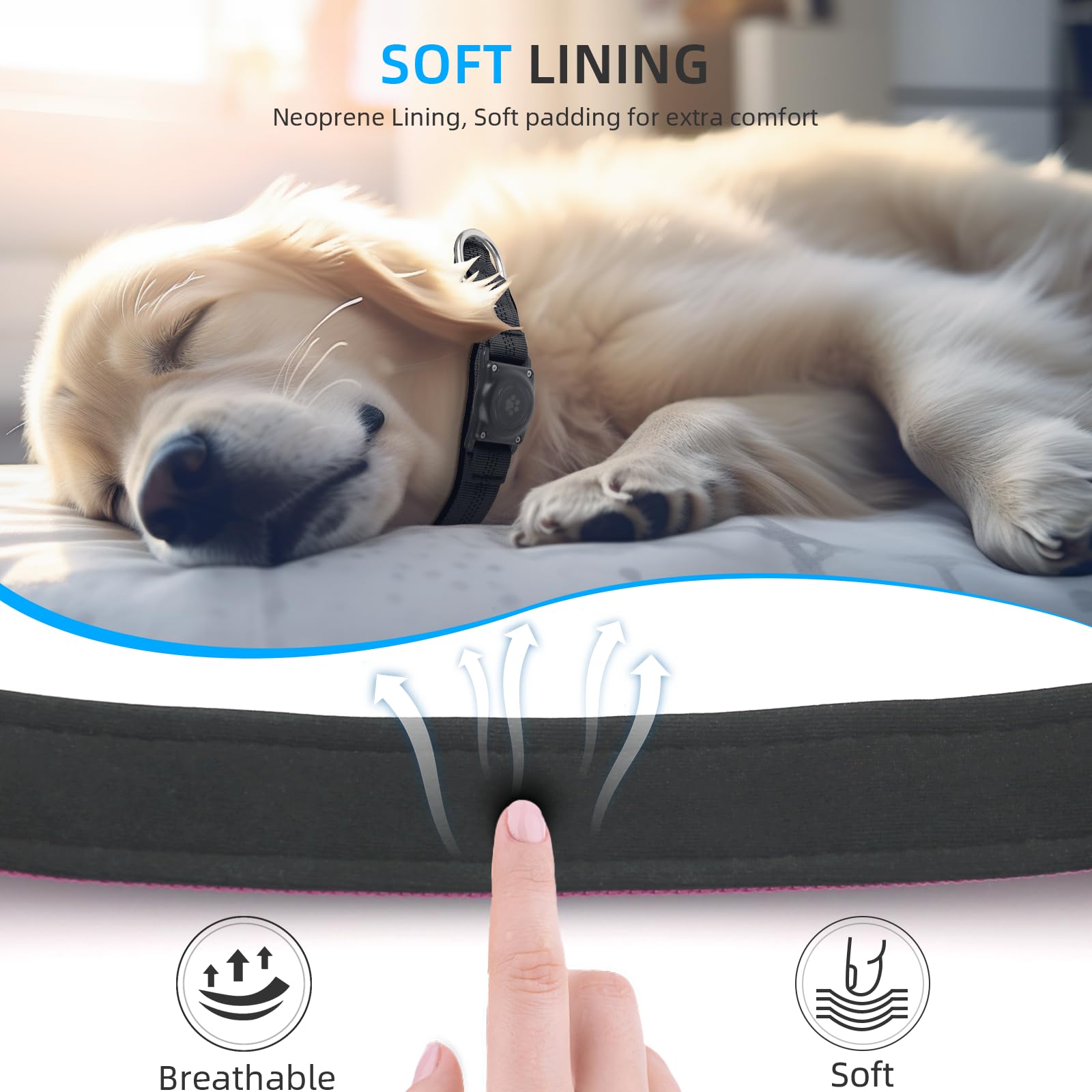 Furrigo comparatif tailles illustrant choix M sur chien modèle
