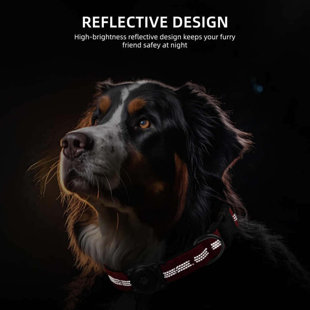 furrigo collier en usage sur chien actif en extérieur pour suivi fiable