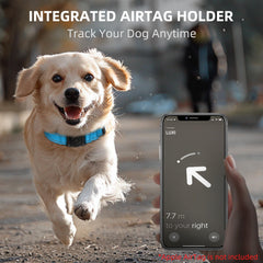 Furrigo collier en usage lors d'une promenade améliorant visibilité et traçage