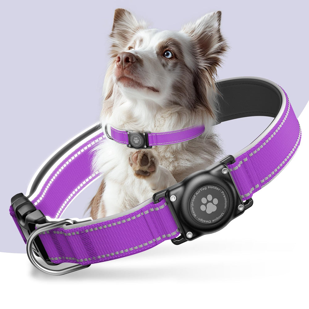 Furrigo collier vue avant montrant design et couleur violet raisin pour sécurité