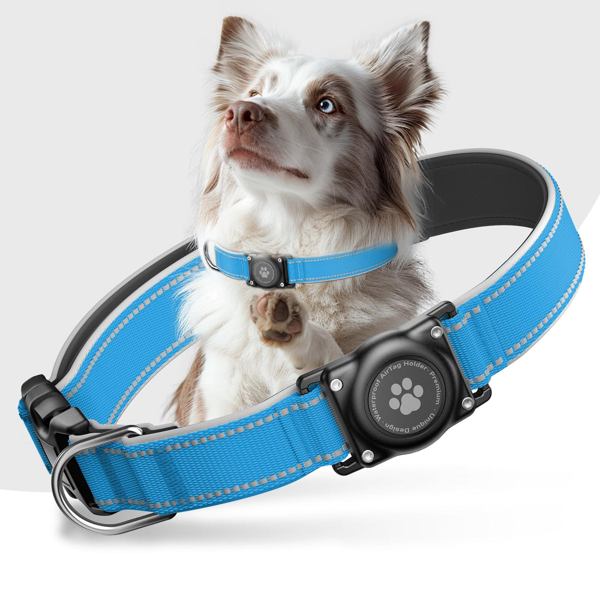 Furrigo collier face avant montrant boîtier AirTag sécurisé et design moderne