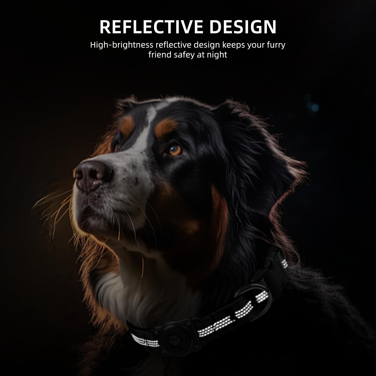 Furrigo collier porté par chien en promenade améliorant sécurité et suivi