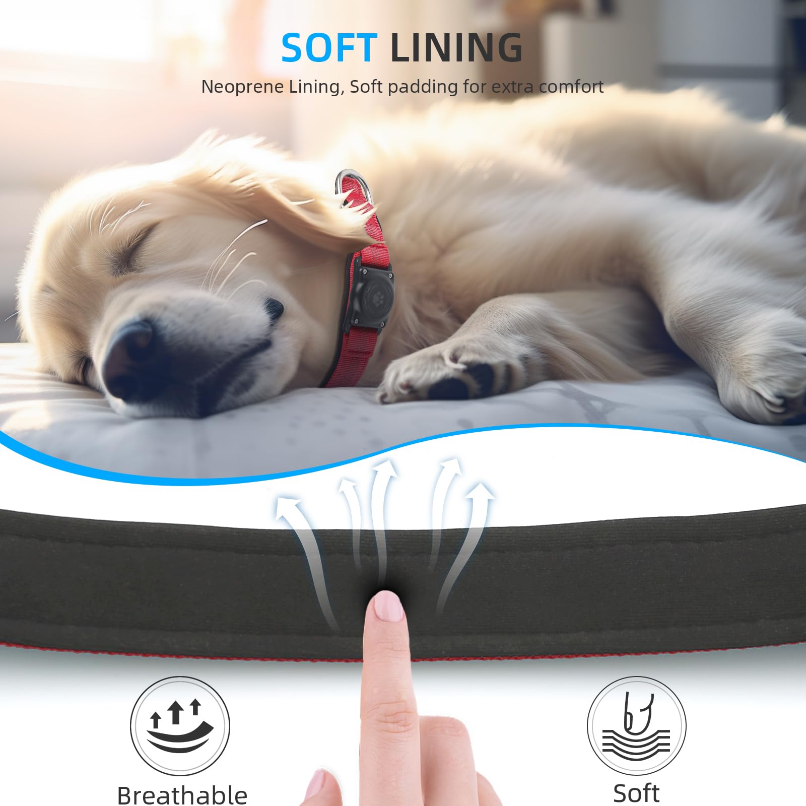Furrigo comparaison taille S illustrant ajustement précis sur chien