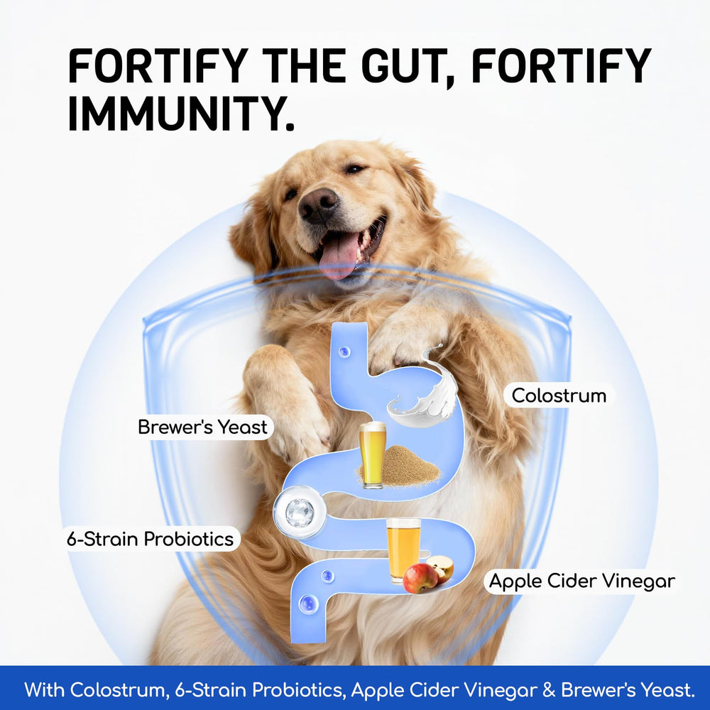 FURRY ARMOR chien avant et après illustrant confort cutané et réduction des grattages