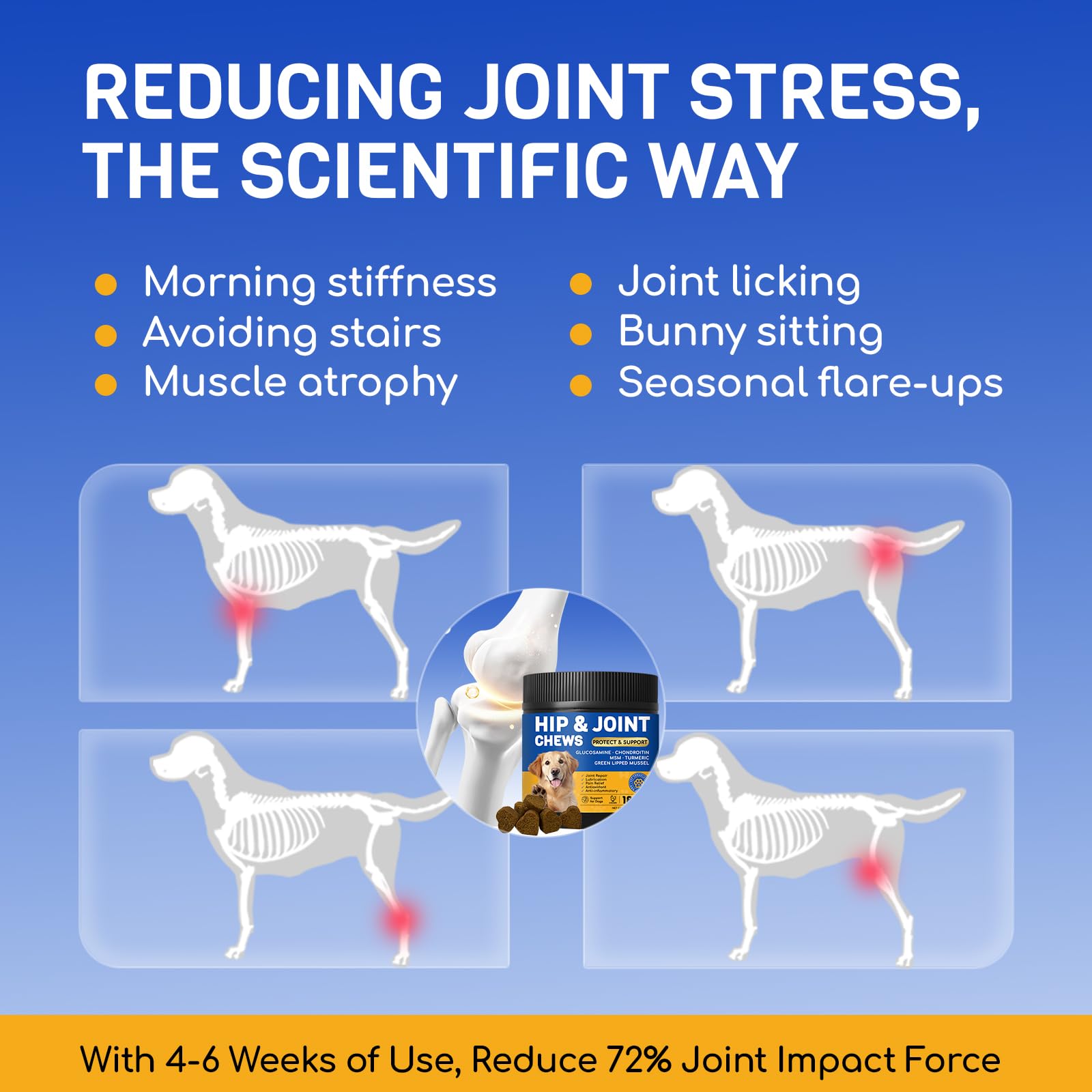 FURRY ARMOR étiquette lisible affichant glucosamine et ingrédients clés