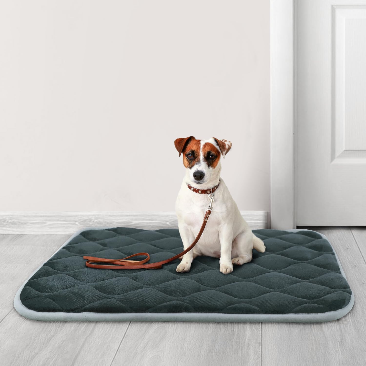 furrybaby gros plan polaire douce offrant confort et chaleur