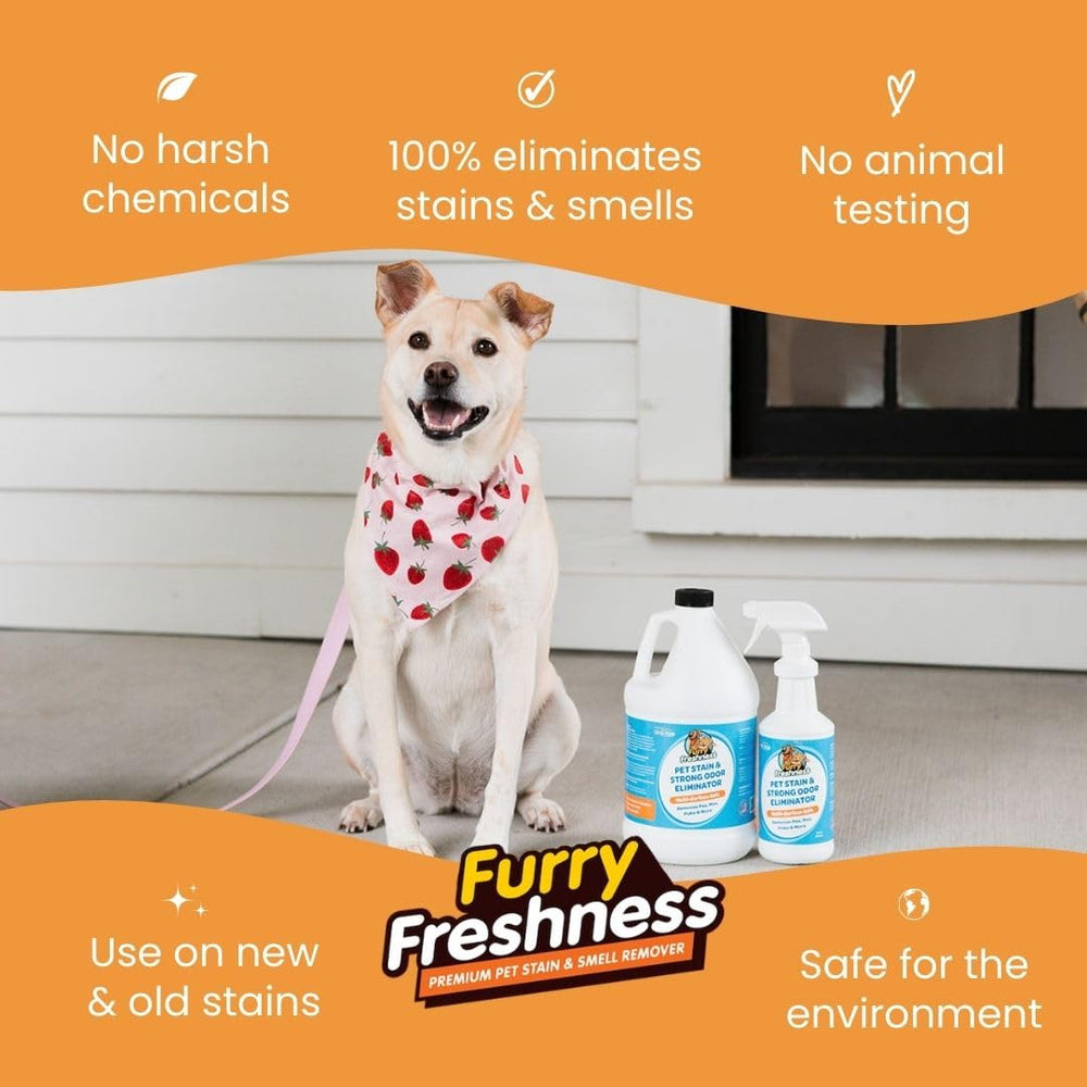 FurryFreshness application sur tapis démontrant élimination de taches