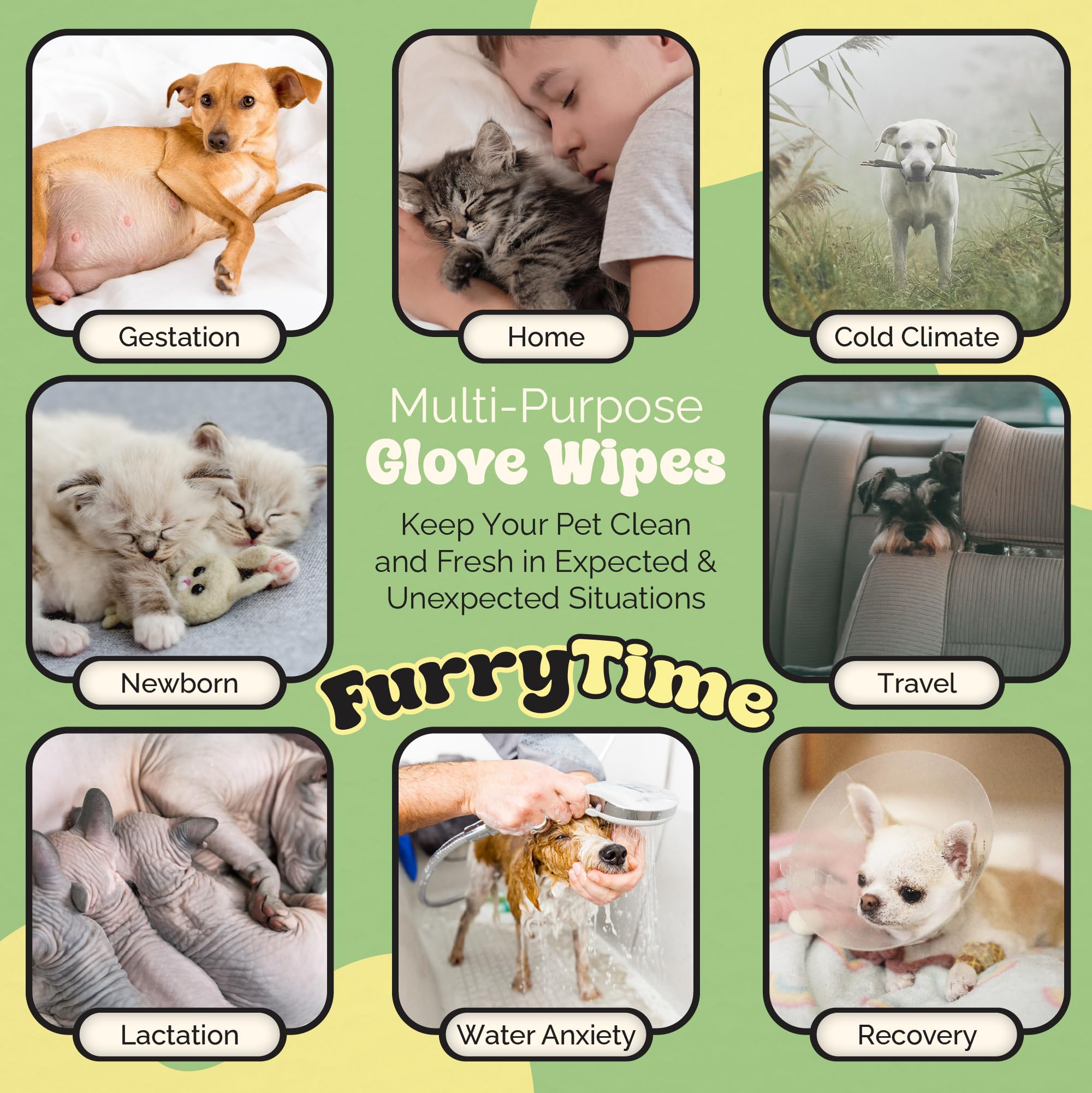 FURRYTIME goutte d'imprégnation montrant ingrédients naturels et hydratation