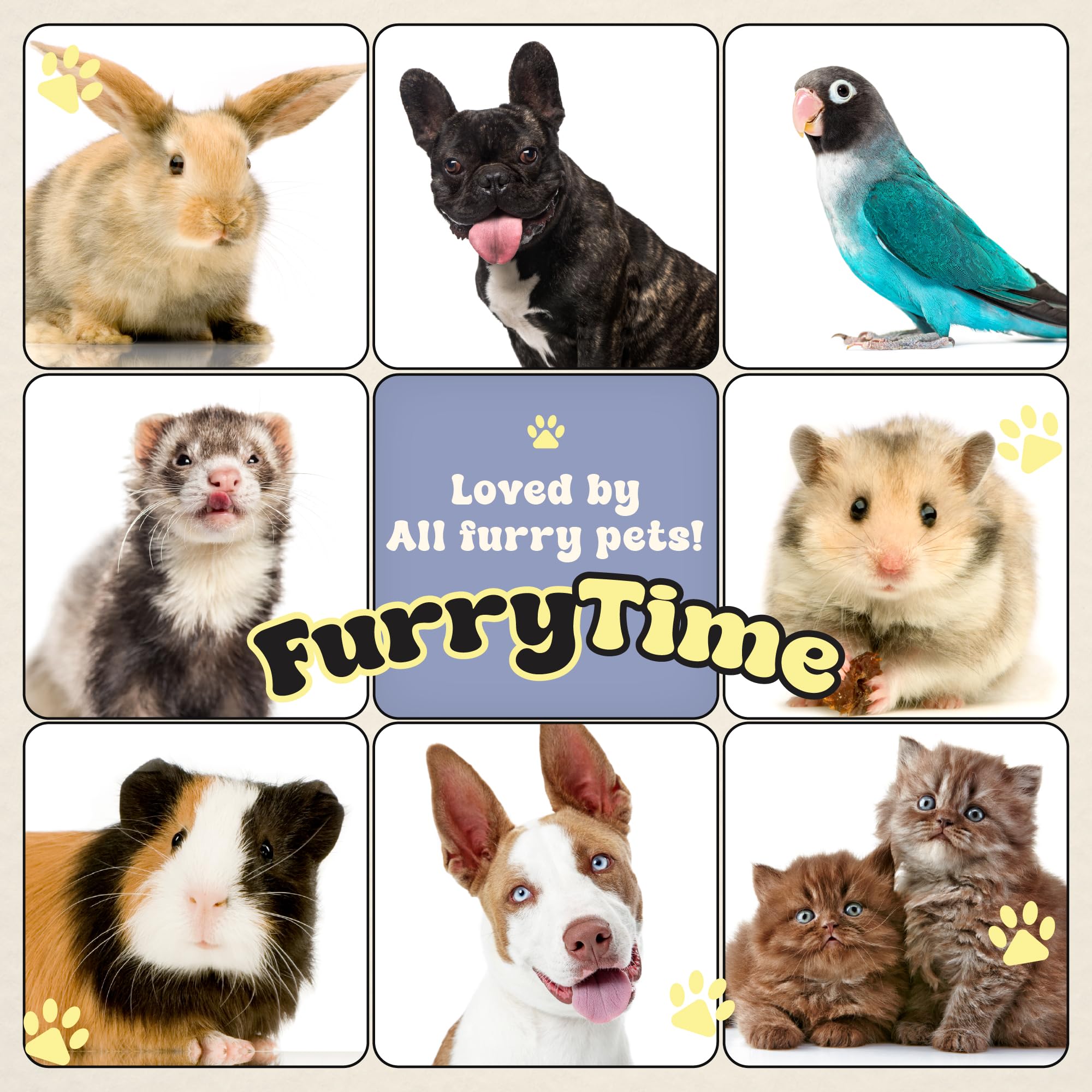 FURRYTIME scène de vie: propriétaire utilise gant pour toiletter chien avant sortie