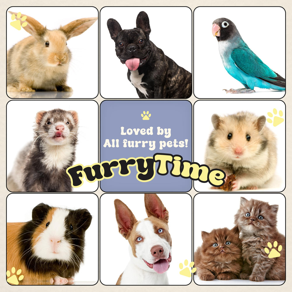 FURRYTIME scène de vie: propriétaire utilise gant pour toiletter chien avant sortie