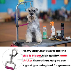 FURSDOLY sangle en usage sur chien, maintien stable et calme