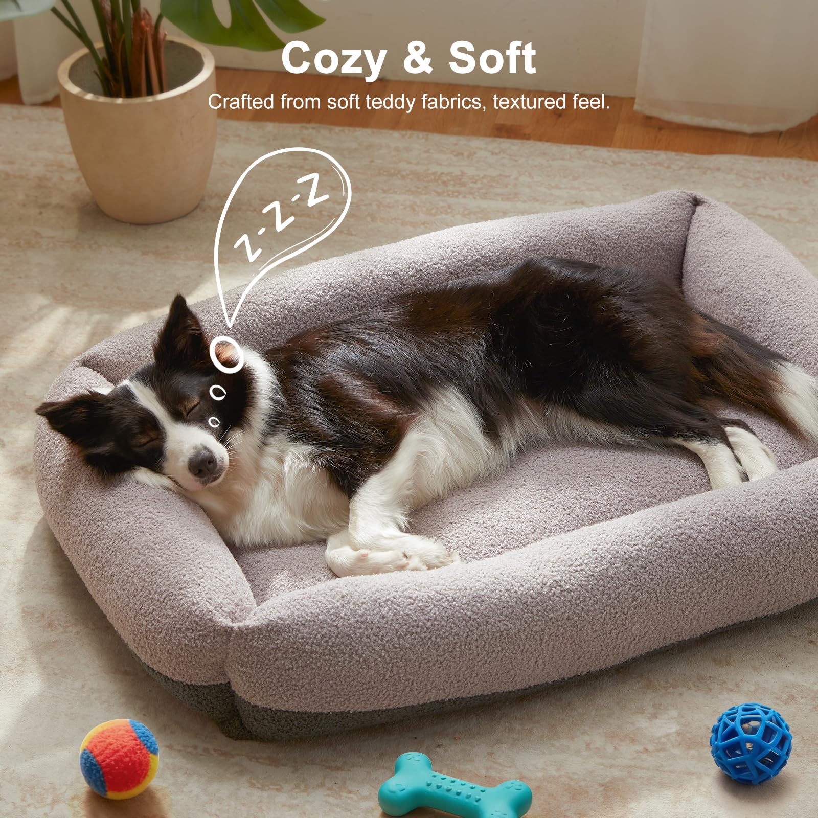 FURTIME comparaison échelle chien et panier aidant à choisir la bonne taille
