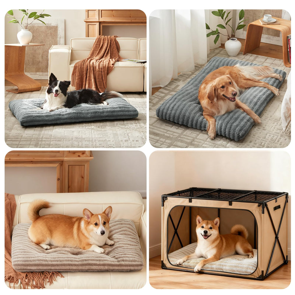 FURTIME comparaison échelle avec grand chien montrant dimensions recommandées