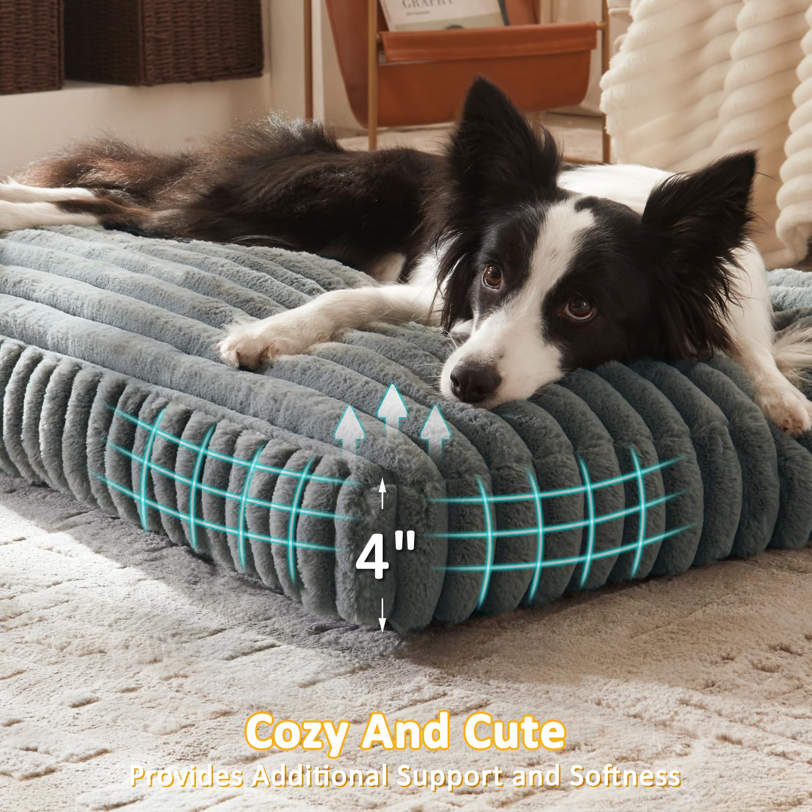 FURTIME comparaison tailles: choix de tailles pour poids et gabarit variés
