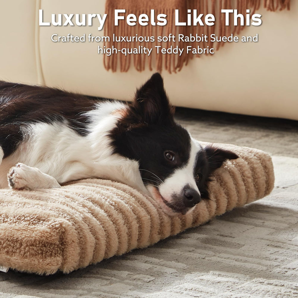 FURTIME close-up du revers Teddy, chauffe et caresse le pelage