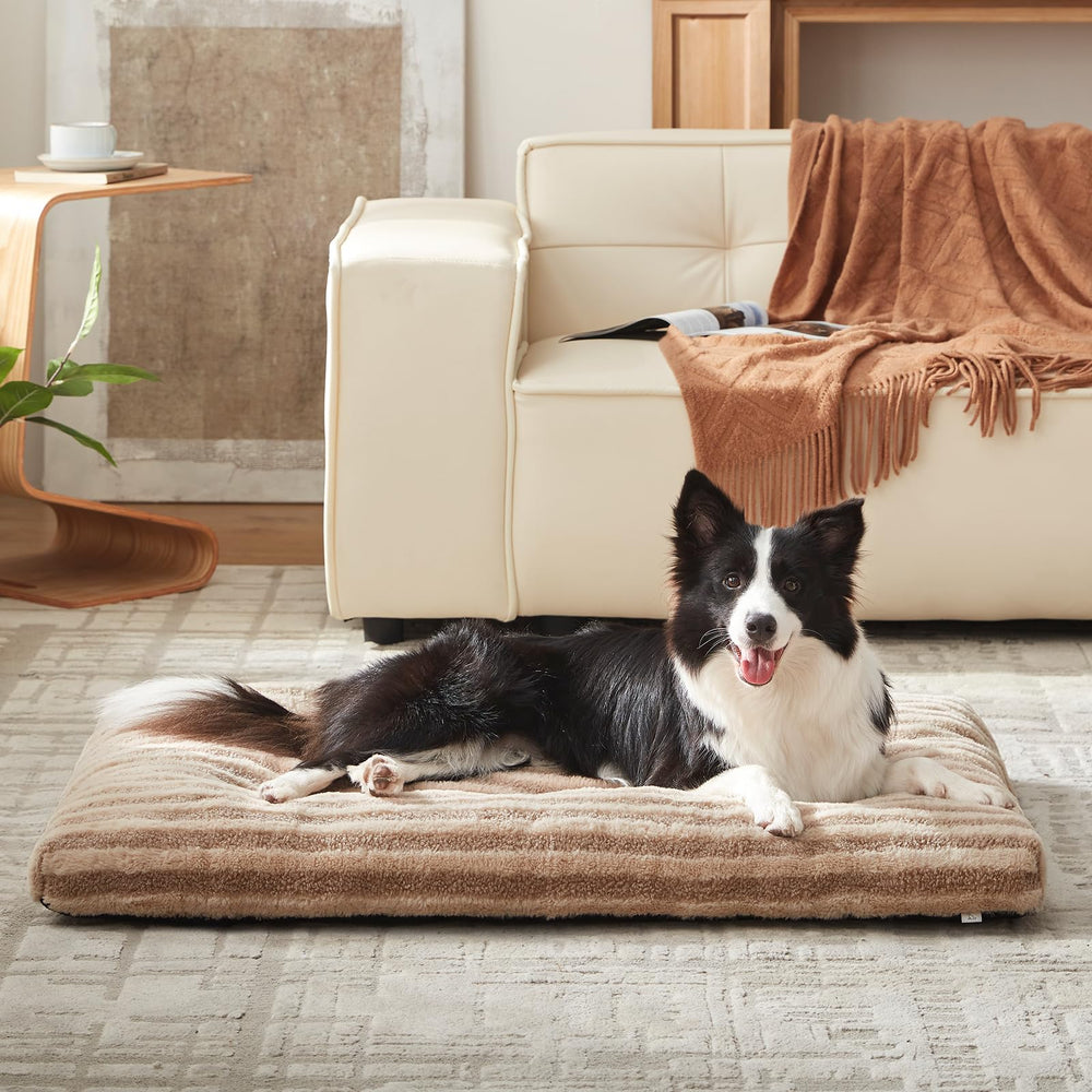 FURTIME scène de vie salon, crée un coin repos cosy pour chien