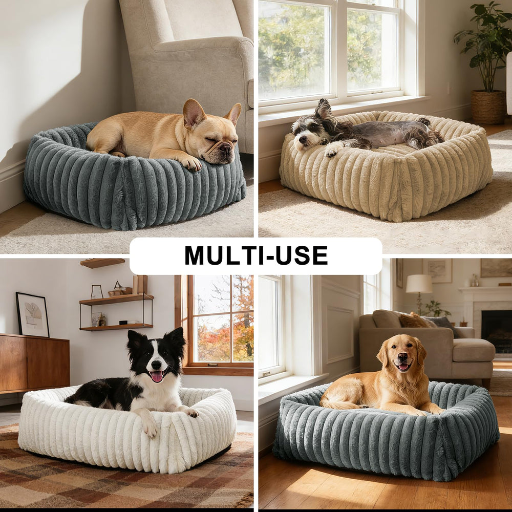 FURTIME comparaison taille avec petit chien pour choix adapté