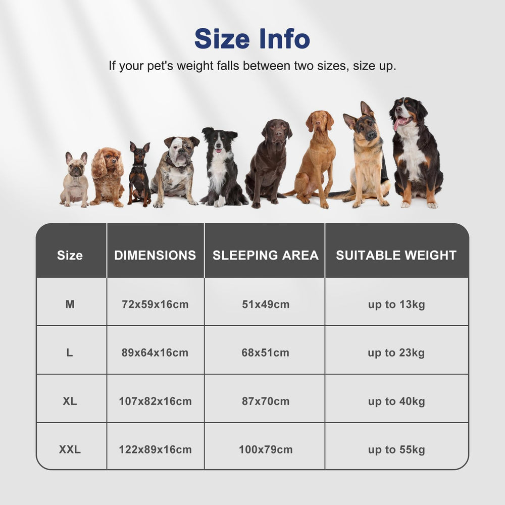 FURTIME comparaison taille XL avec chien pour échelle
