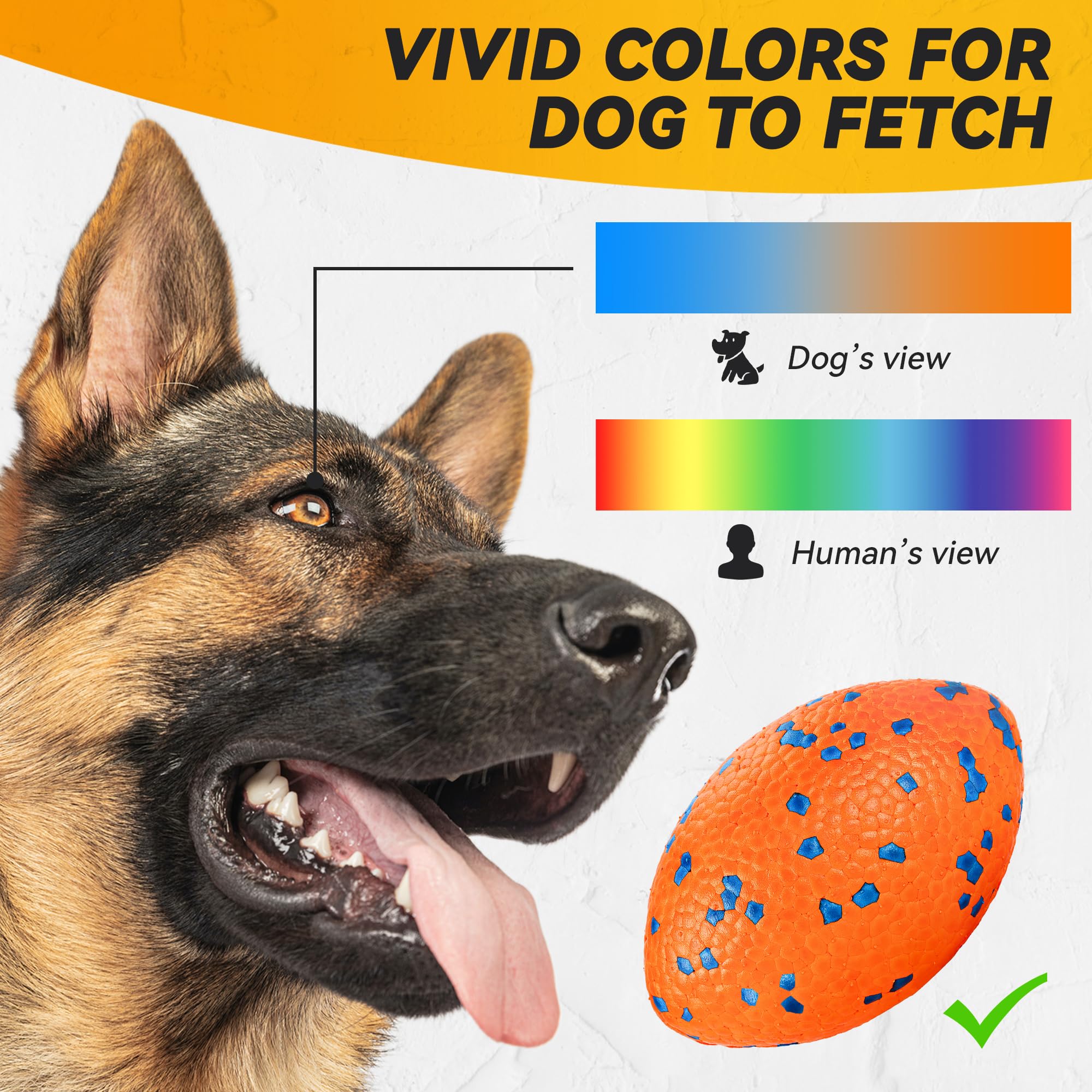 FUSOTO comparaison taille avec main pour évaluer adaptation canine