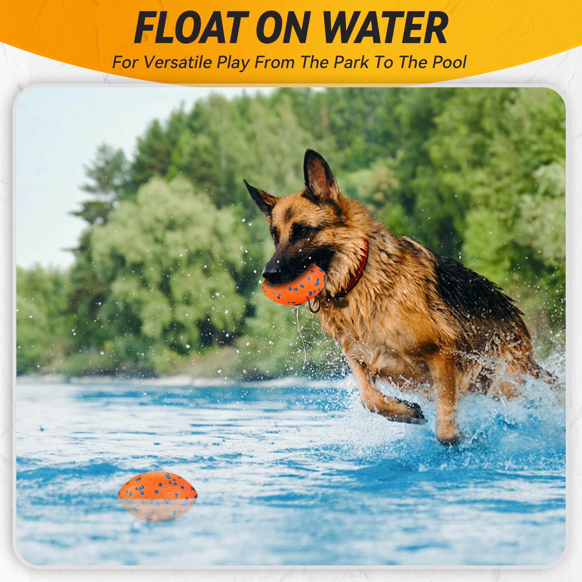 FUSOTO chien rapportant balle renforce exercice et obéissance