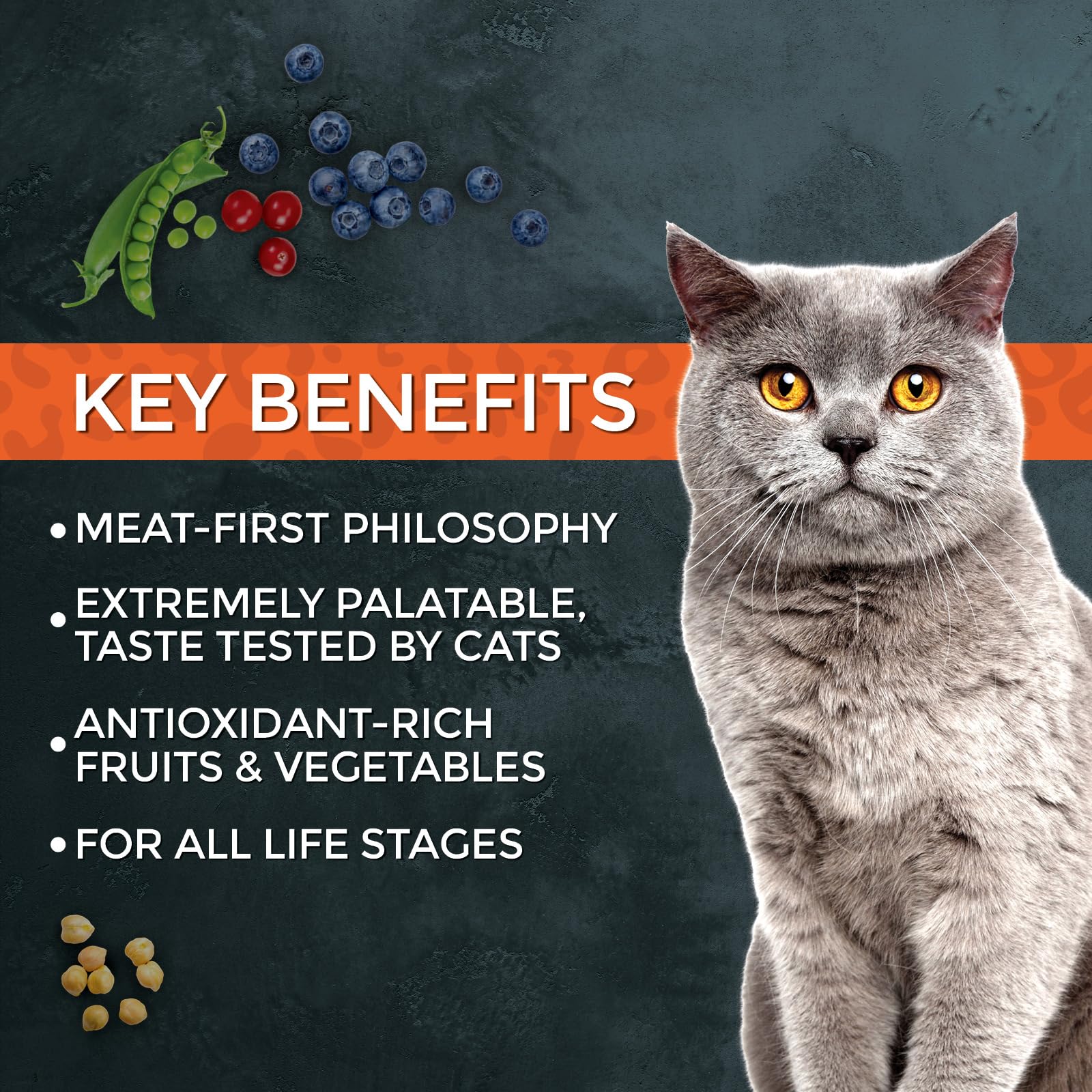 Fussie Cat comparaison taille croquettes pour repérer portion et mastication