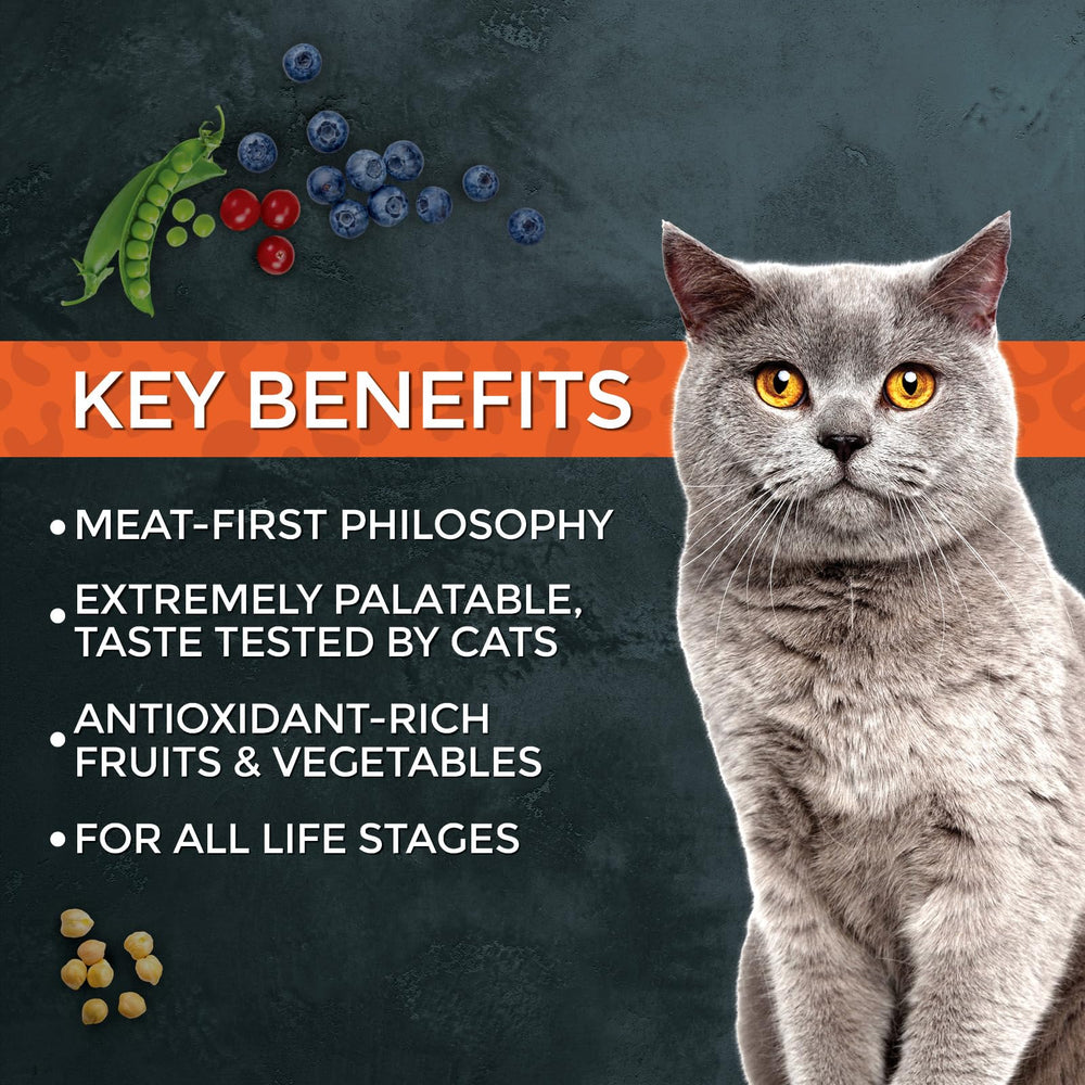 Fussie Cat comparaison taille croquettes pour repérer portion et mastication
