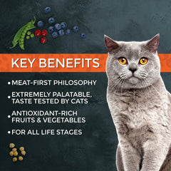 Fussie Cat comparaison taille croquettes pour repérer portion et mastication