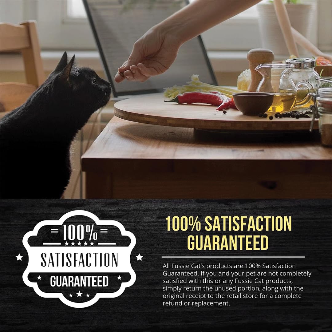 Fussie Cat chat mange dans une cuisine lumineuse soulignant plaisir et convivialité