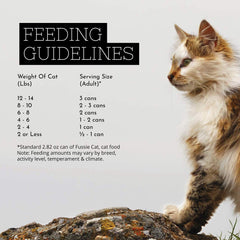 Fussie Cat boîte ouverte avec portion appétissante pour acceptation