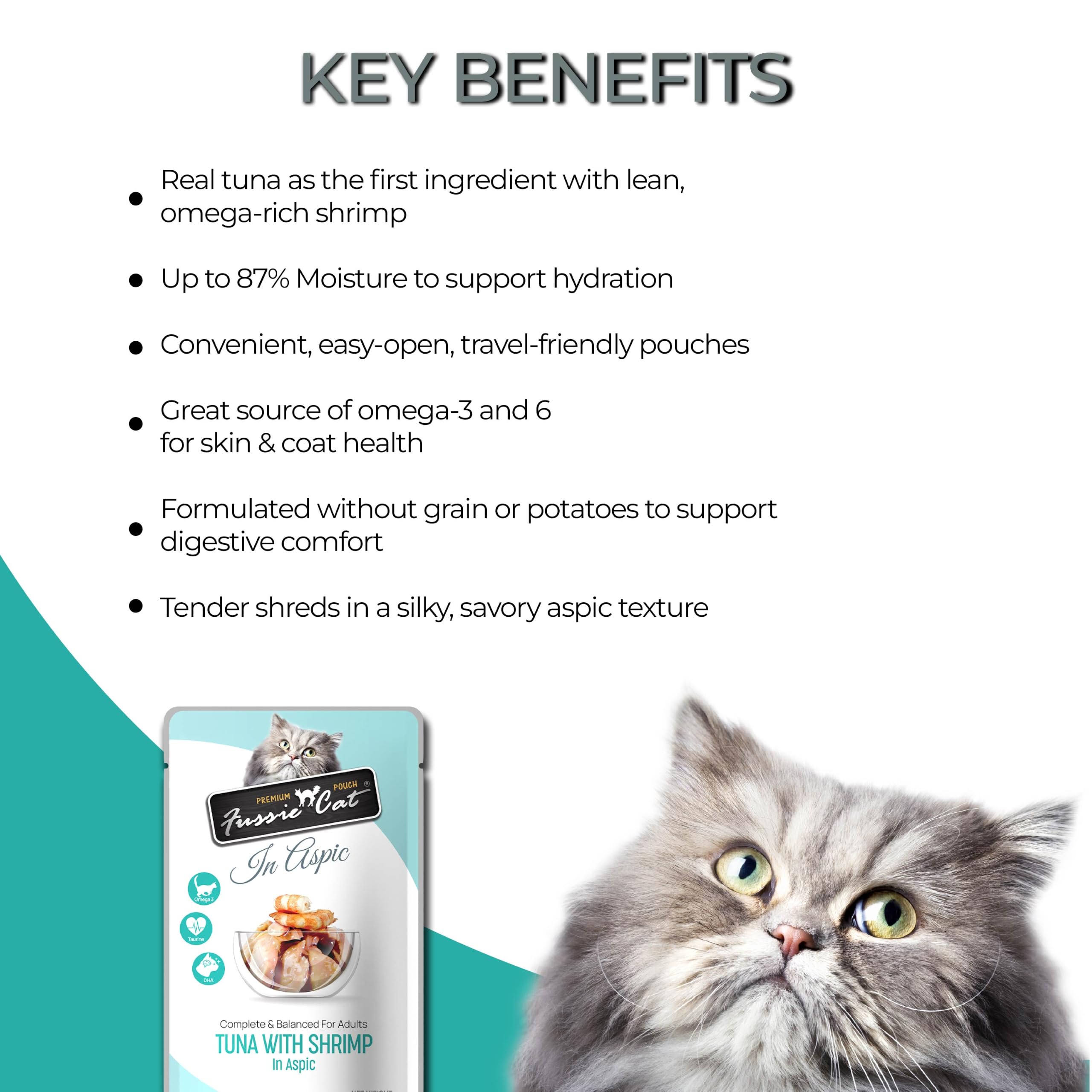 Fussie Cat service dans un bol, montre portion et présentation prête à servir