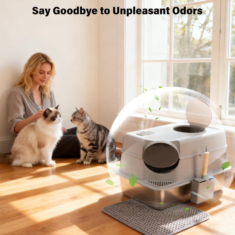 FUTAM comparaison d'échelle montrant dimensions XL et capacité pour grands chats