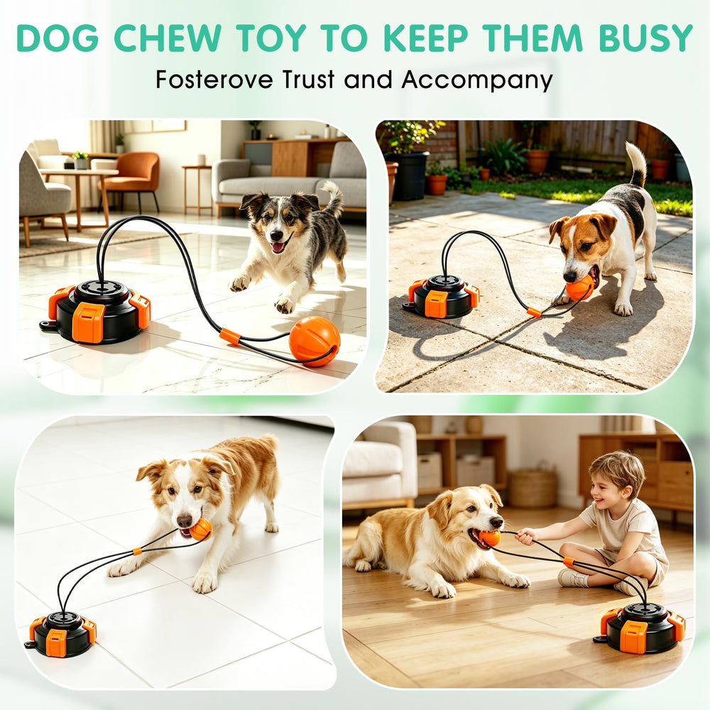 Fuufome comparaison de taille montrant dimensions adaptées aux grands chiens