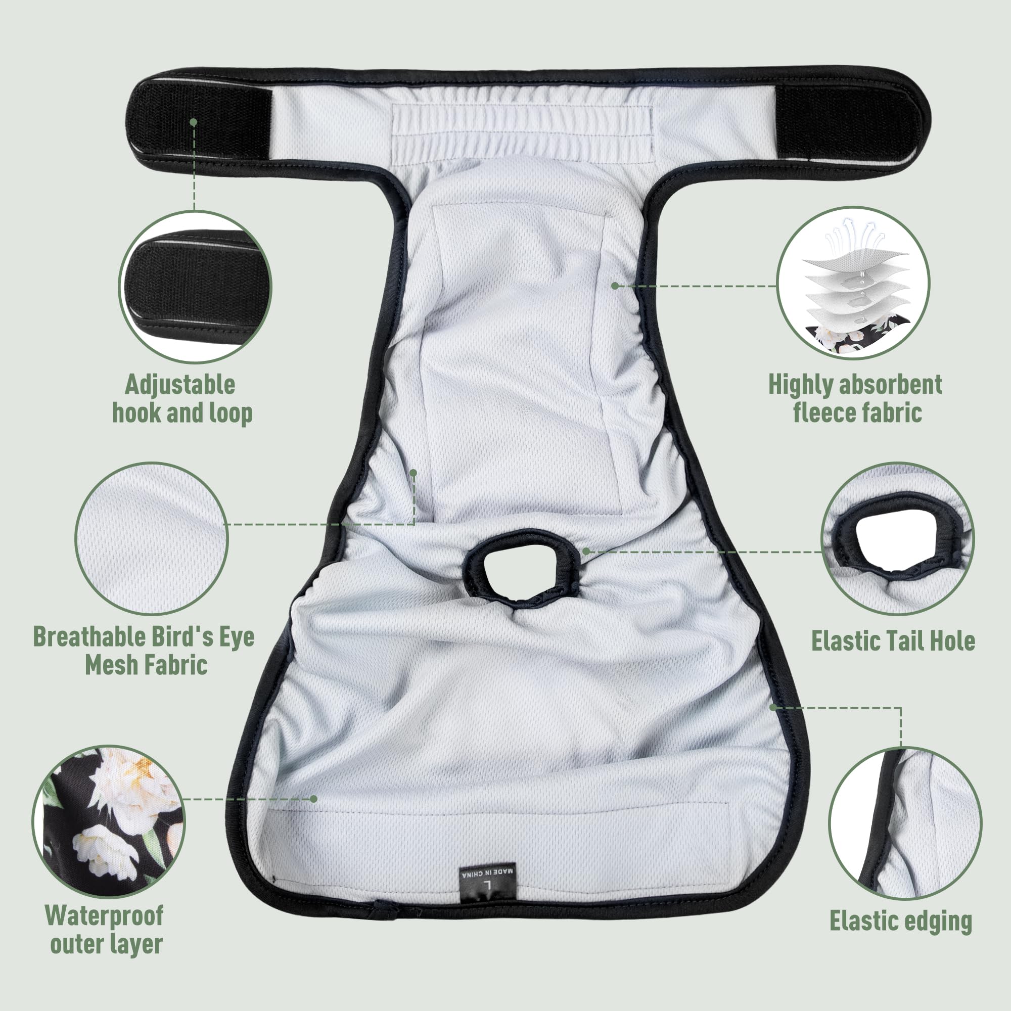 Fuz Bigaza chienne portant la culotte pour protection en intérieur