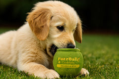 Generic Fuzz Ballz à côté d'une main pour comparaison de taille pratique