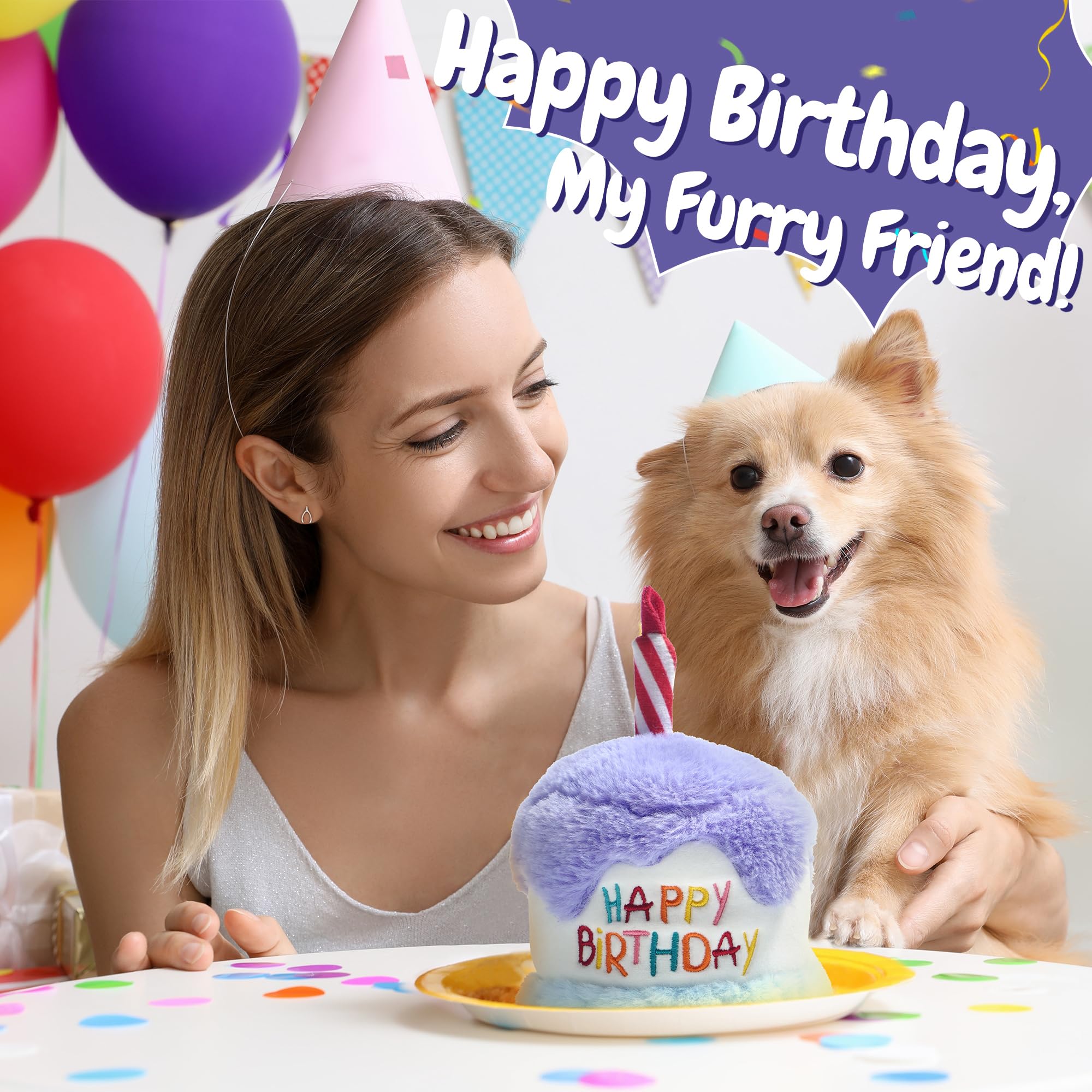 Fuzzwoof cadeau emballé, idée présente prête pour anniversaire canin