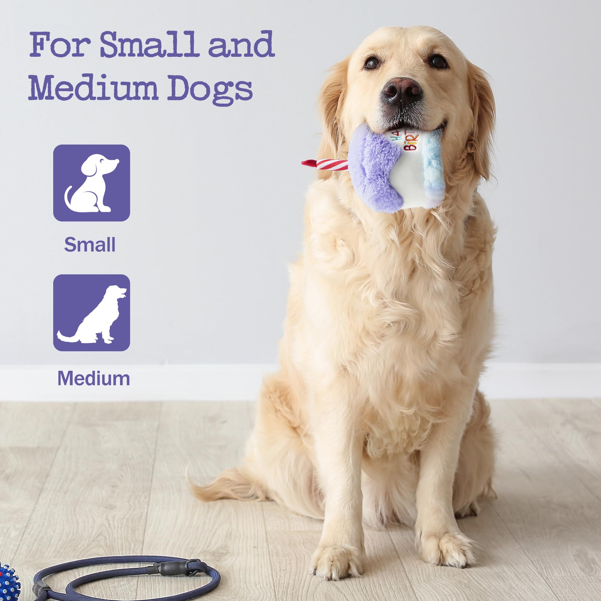 Fuzzwoof comparaison taille avec main, dimension adaptée pour petits chiens