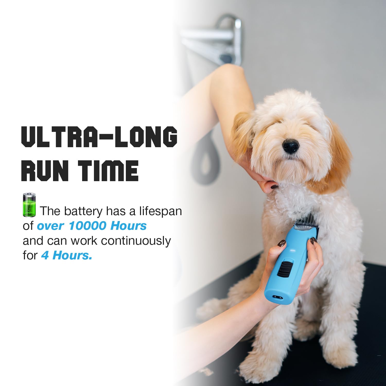 FuzzyFix en usage toilettage sur chien bouclé réduisant le stress grâce au mode silencieux