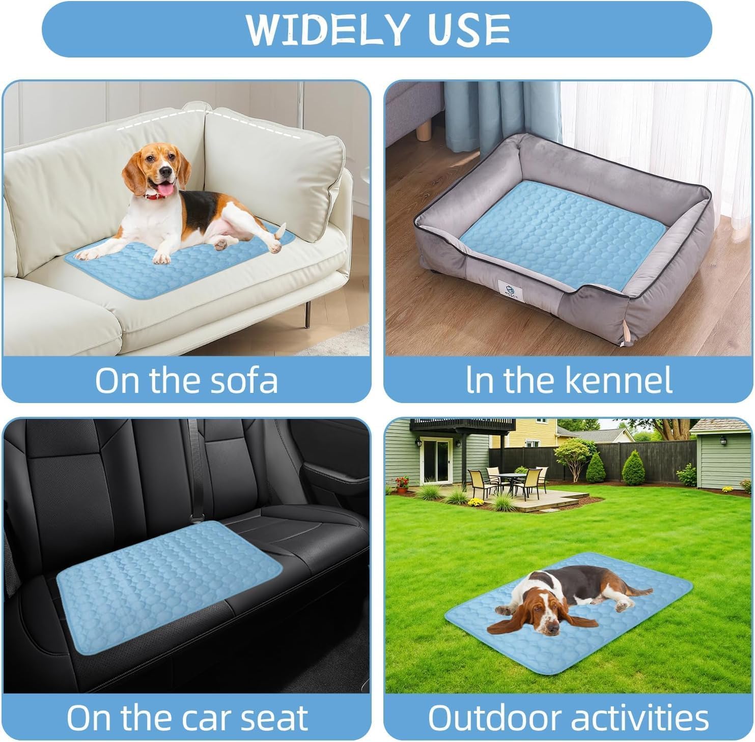 FVELPLT comparaison taille avec petit chien illustrant capacité d'accueil