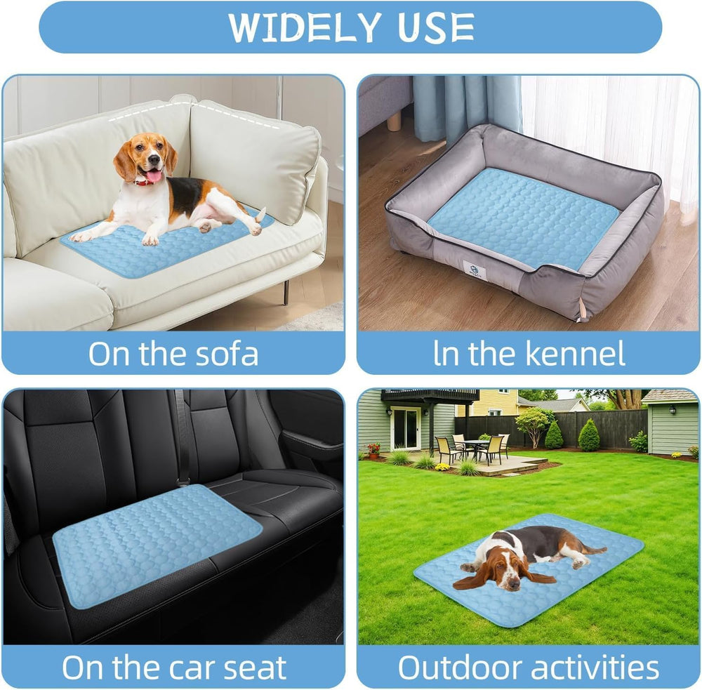 FVELPLT comparaison taille avec petit chien illustrant capacité d'accueil