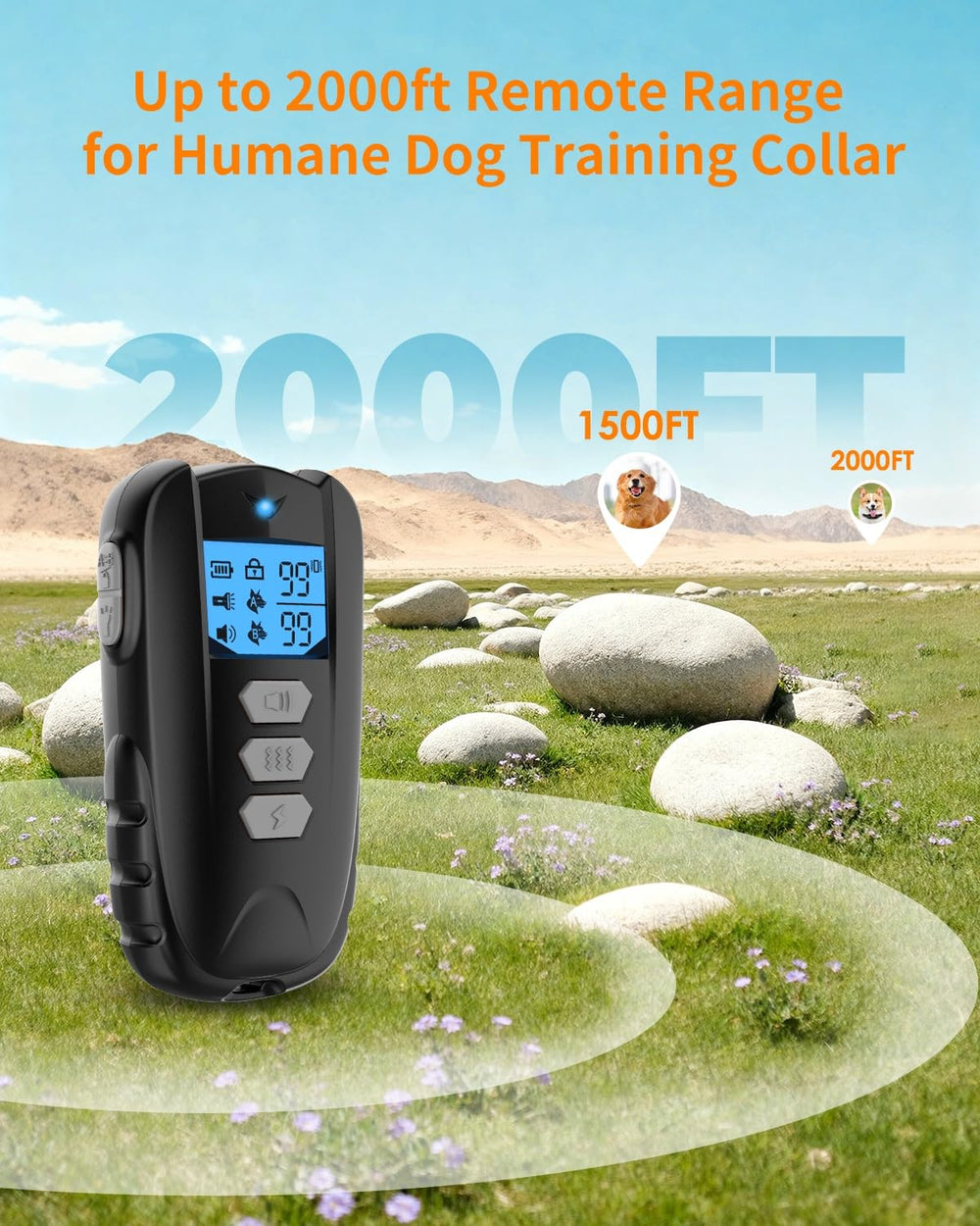 FWQEFVA collier sur chien en plein air montrant maintien confortable en promenade