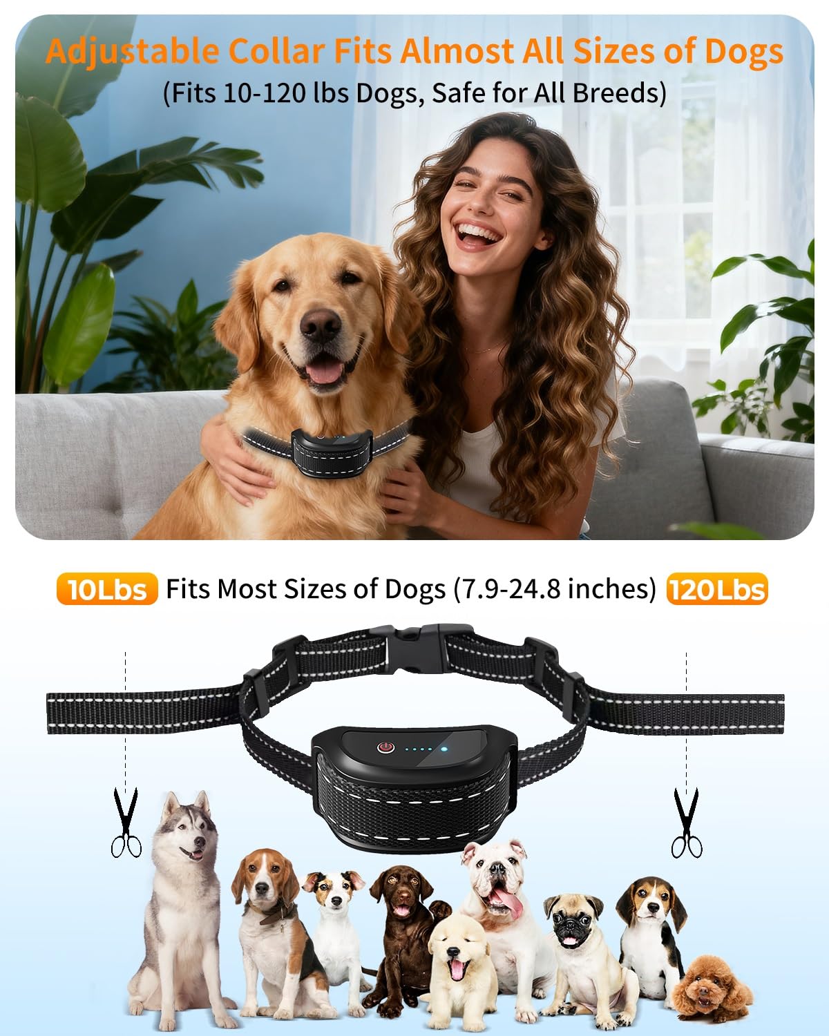 FWQEFVA détail des électrodes pour contact sûr et confort du chien