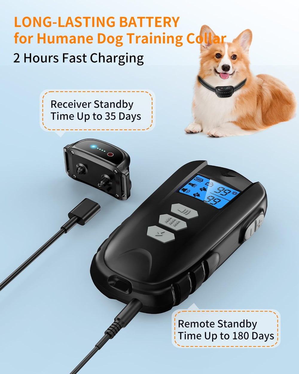 FWQEFVA télécommande éclairage torche utile pour promenades nocturnes