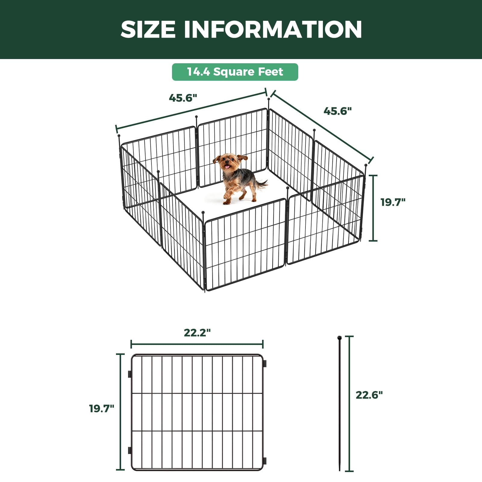 FXW MiniPaws comparaison de taille avec petit chien, proportion adaptée