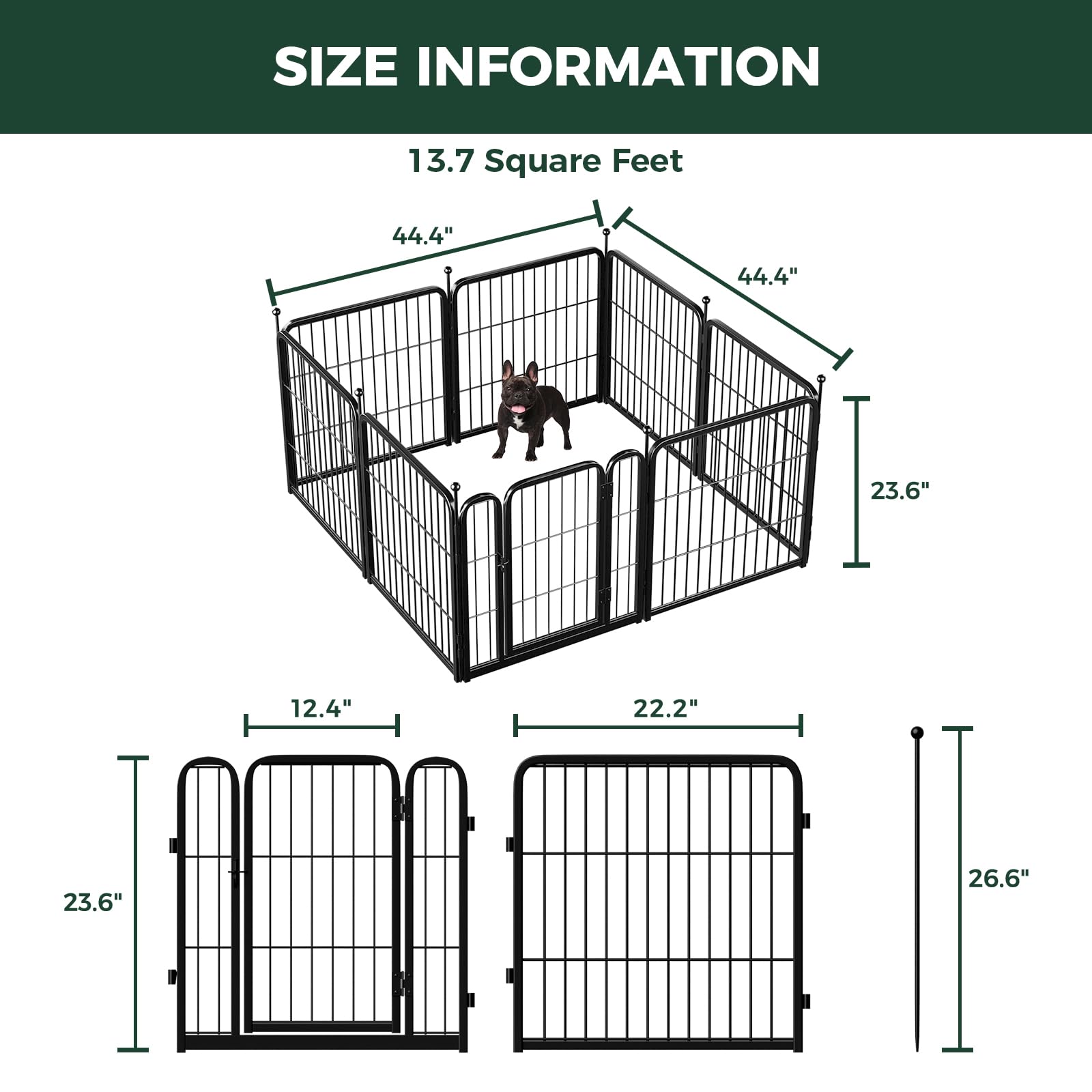FXW comparaison de taille montrant un chien de taille moyenne à l'intérieur