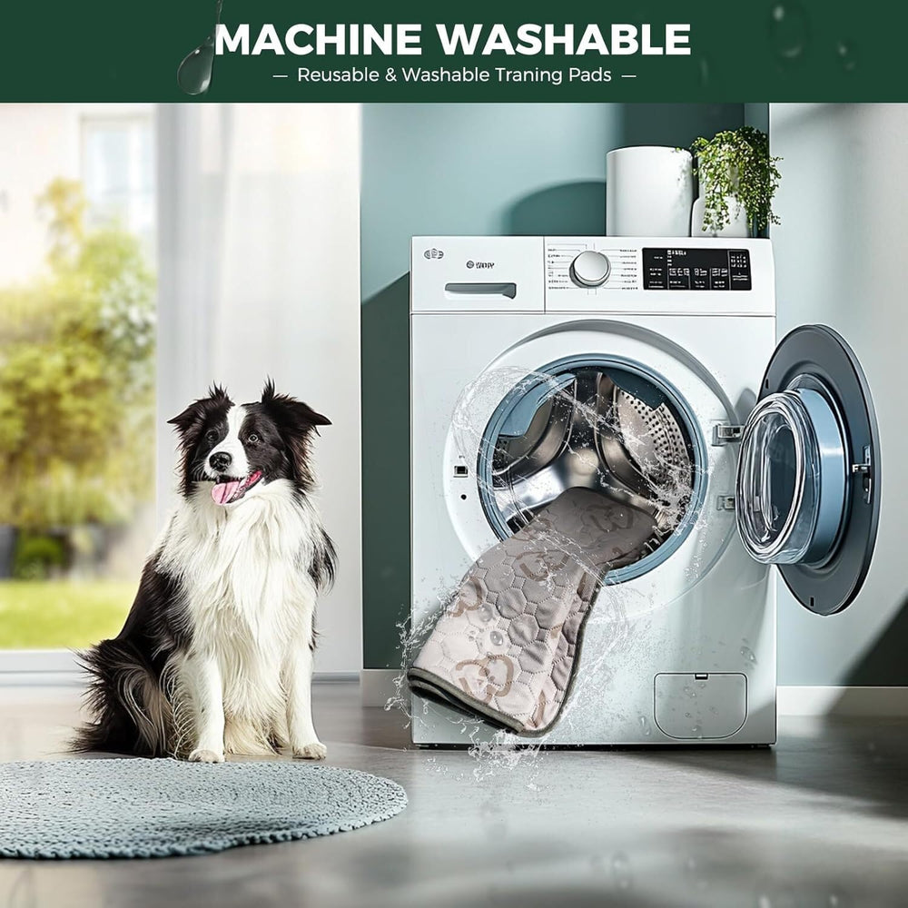 FXW tapis placé dans un parc de chien protégeant sol et jouets